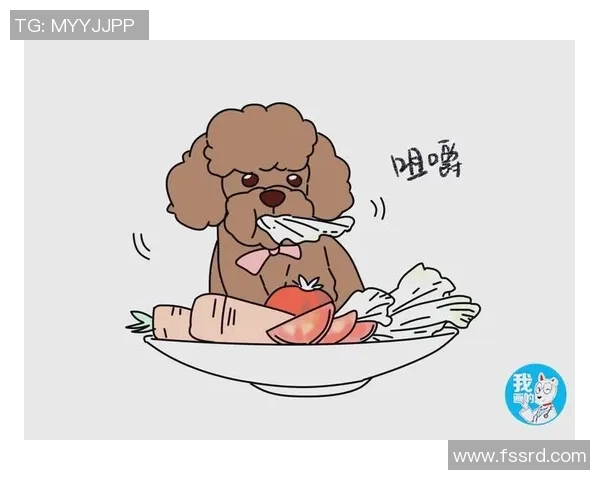 王丽独家分享篮球心得与技巧助你提升球技的全面指南 王丽独家分享篮球心得与技巧助你提升球技的全面指南