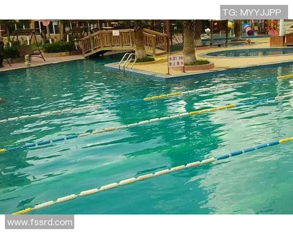 成都极限运动队技术对比分析揭示运动员实力与训练方法的差异 成都极限运动队技术对比分析揭示运动员实力与训练方法的差异