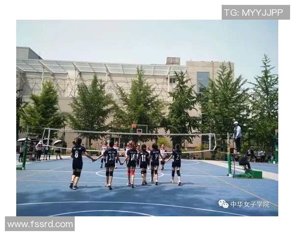 广州排球队在挑战赛中的比赛经验与表现分析与点评