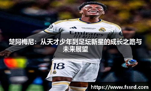 乐鱼体育官网
